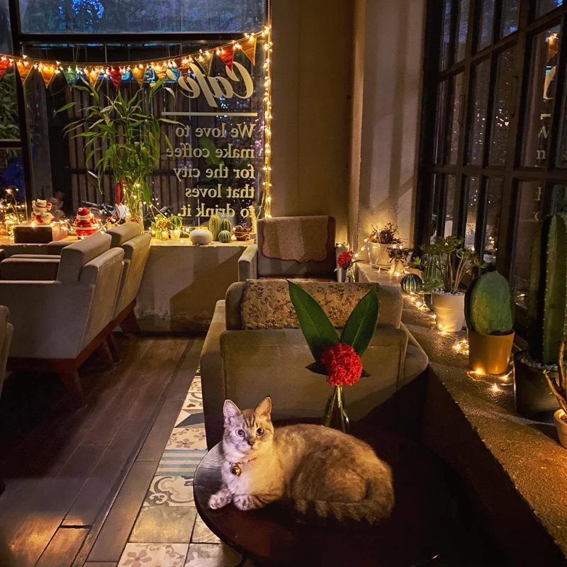 Không gian buổi tối cực chill ở quán cafe núp hẻm iTune Coffee