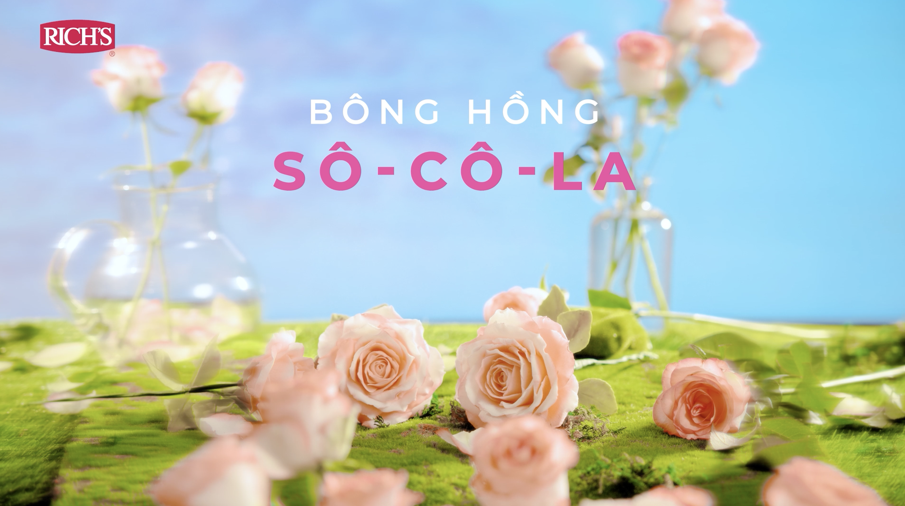 Hoa Hồng Socola