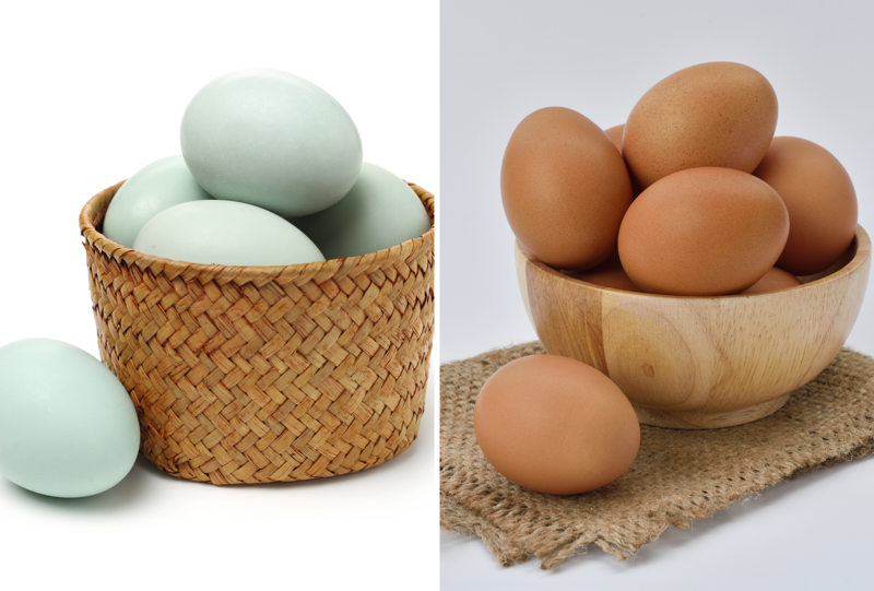 Sử dụng lòng trắng trứng gà sẽ giúp bạn tạo nên thành phẩm có độ bông xốp, thơm béo tốt hơn trứng vịt
